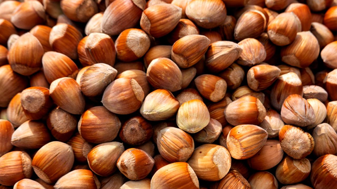 Fındık ihracatı şampiyonları belli oldu