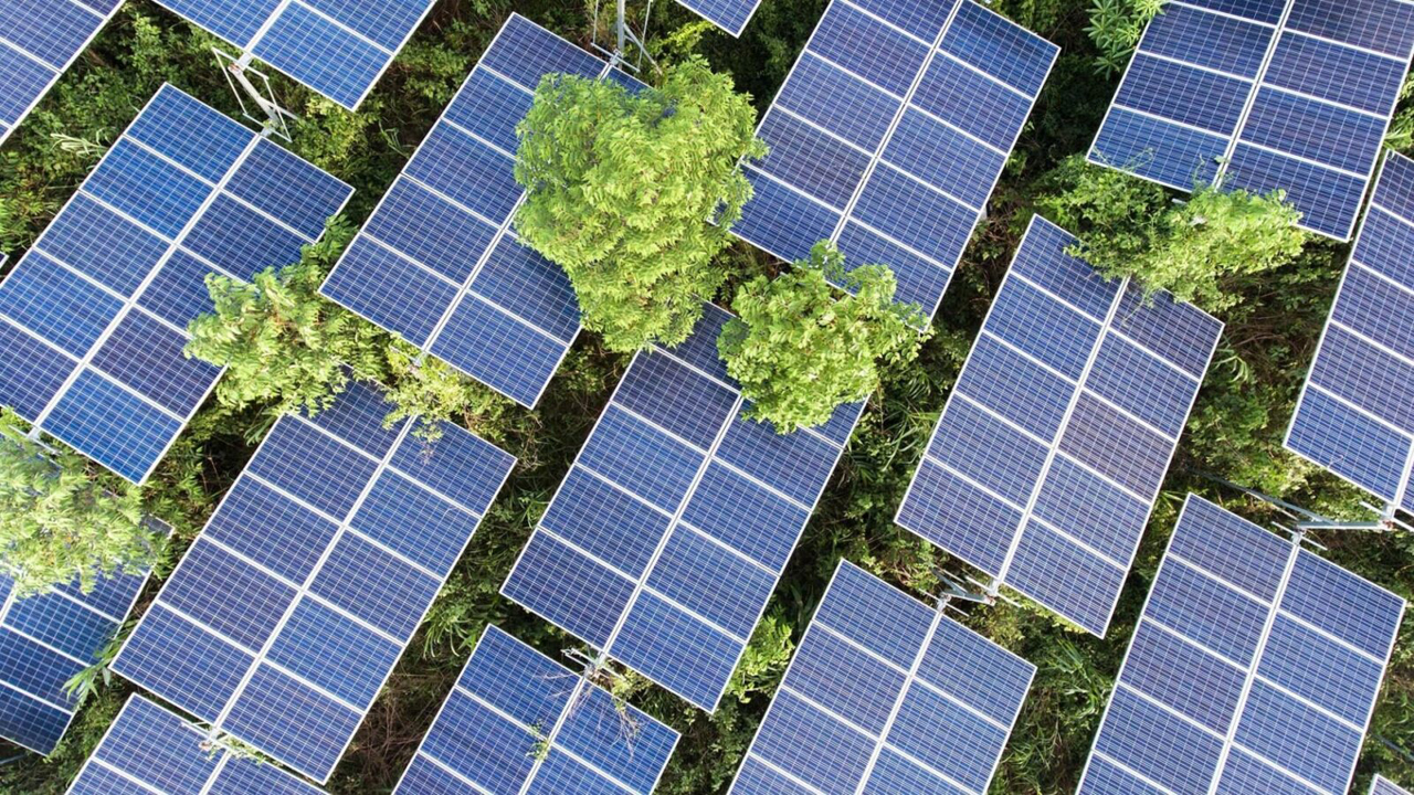 2035’e kadar elektrik üretiminde fosilden kurtulmak mümkün