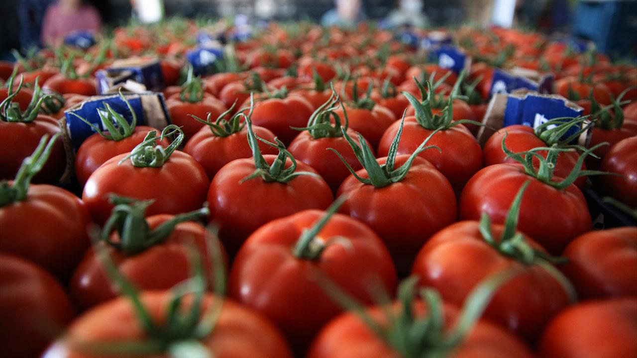 Türkiye'den 10 ayda 361 milyon dolarlık domates ihracatı