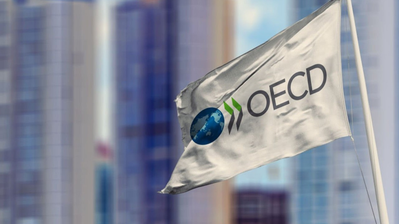 OECD'den Türkiye değerlendirmesi: Yabancı yatırımların doğrudan olması çok önemli