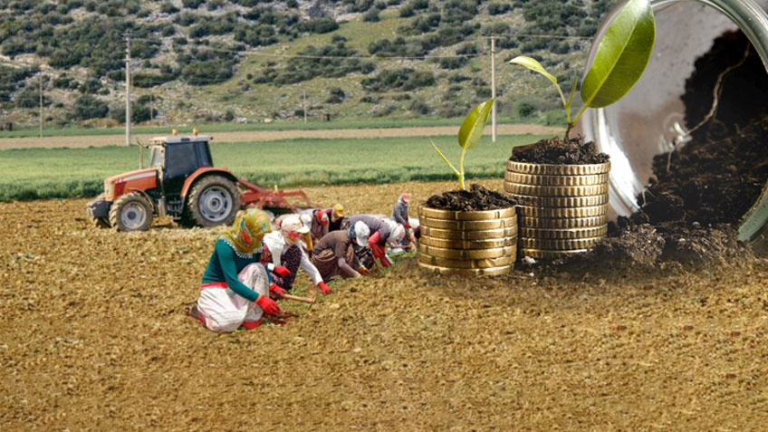 “Mercimek Teyze” Ayşe Baysal’ı hatırlayan var mı?