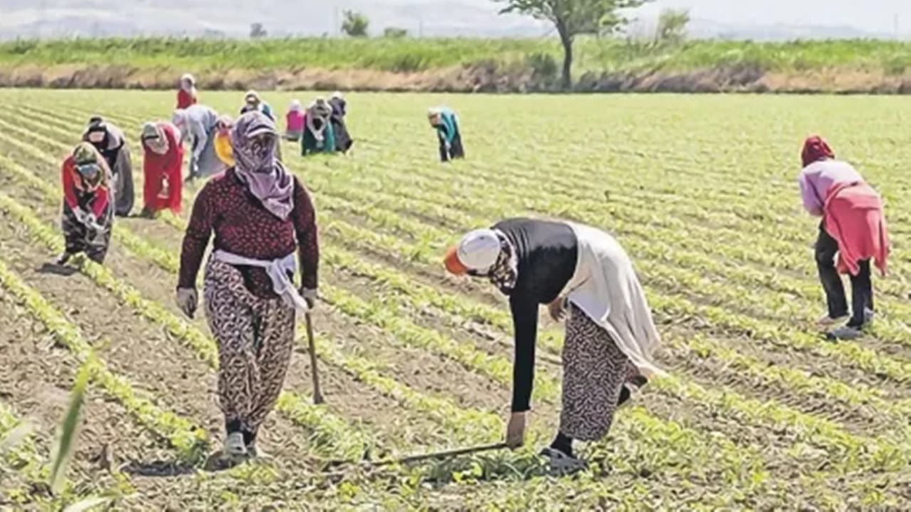 Kadın çalışanın yüzde 36’sı tarımsal gıda sistemlerinde istihdam ediliyor