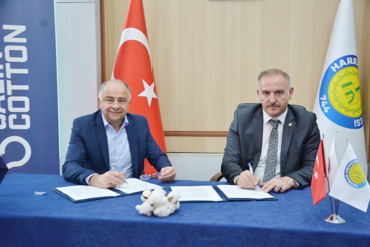 Çalık Holding, Harran Üniversitesi’yle Şanlıurfa’da renkli pamuk yetiştirecek