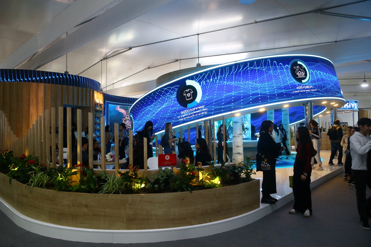 COP29: Başarı mı, hayal kırıklığı mı?