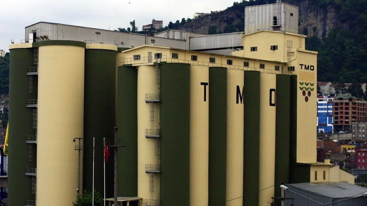 TMO, buğday ve arpa alımlarına gelecek hafta başlayacak