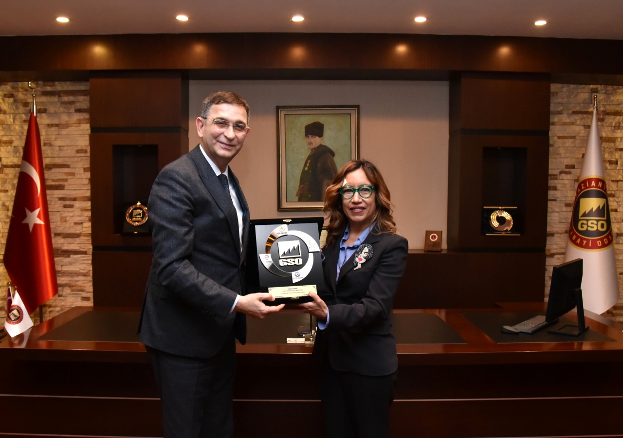 UNDP heyeti GSO’yu ziyaret etti