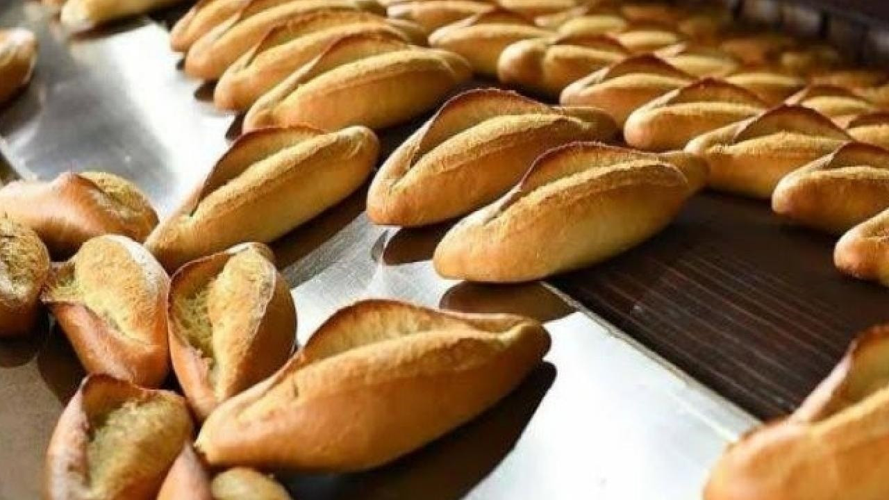 Sakarya’da ekmeğin hikayesini gençler yazacak
