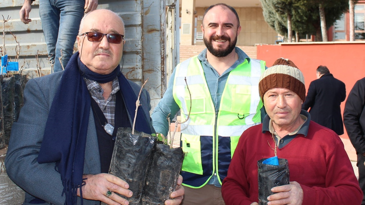 Antalyalı çiftçiye kuraklığa karşı ‘Toros fıstığı’ desteği
