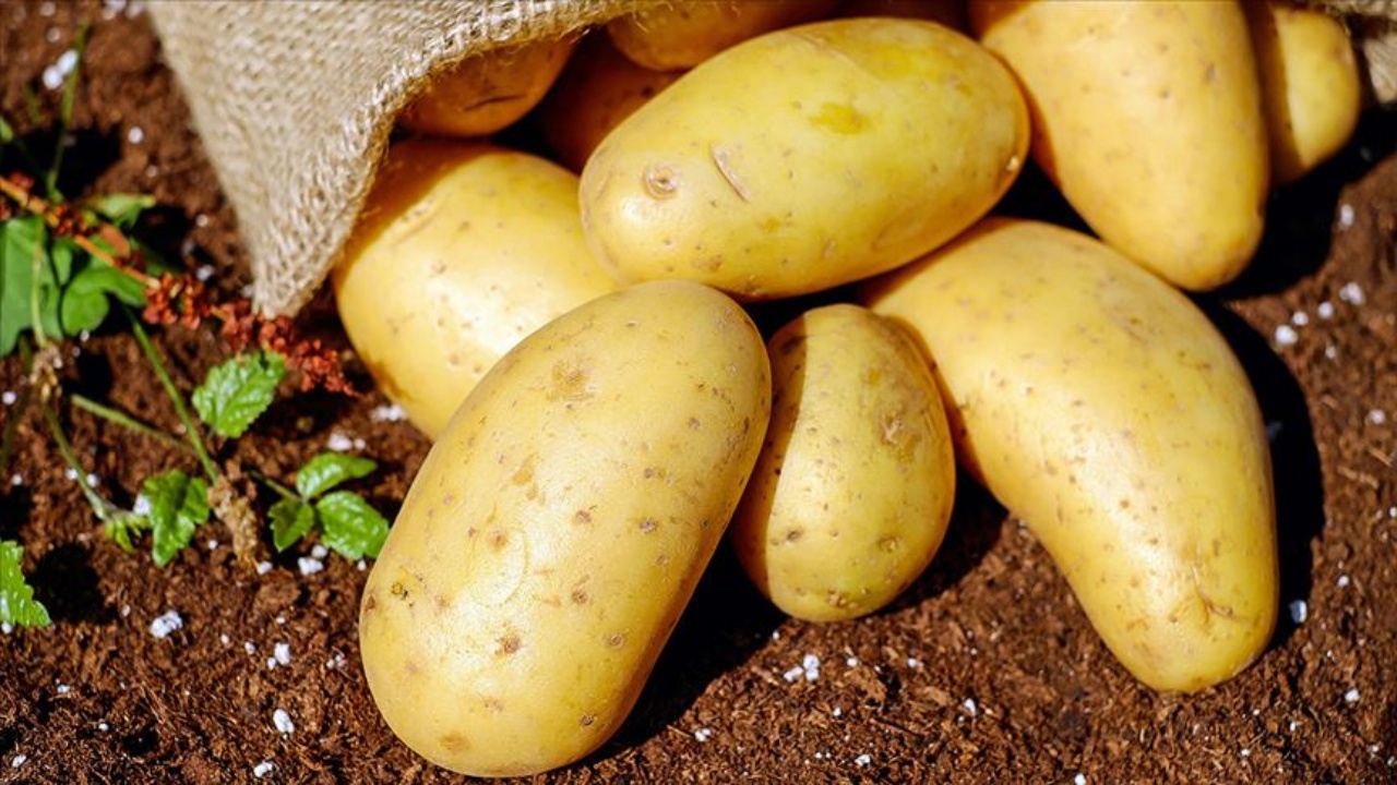 Üretici 8 liraya mal ettiği patatesi, 4'e satıyor