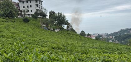 ÇAYKUR'un işçi alımına düzenleme