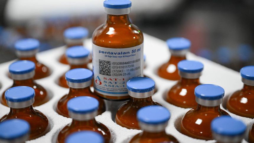 Şap hastalığına karşı 15 milyon doz SAT-1 aşısı