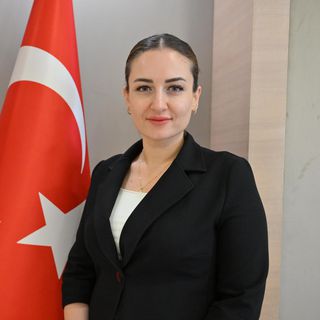 Antalya raylı sistem projesi onay bekliyor