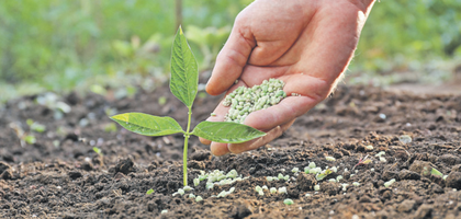 Gübrenin ham maddesi ürenin gümrük vergisi sıfırlandı
