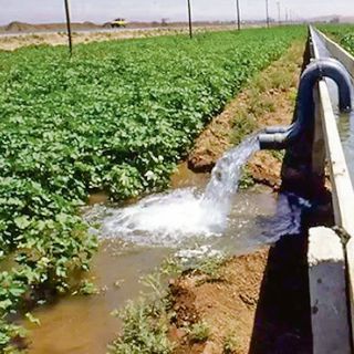 Su karnesinin en büyük kırığı: Su kaybı