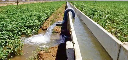 Su karnesinin en büyük kırığı: Su kaybı