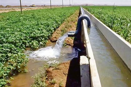 Suyun yüzde 79’u tarımda kullanılıyor