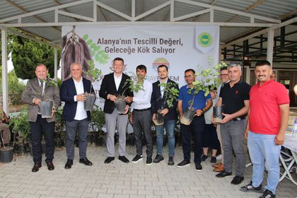 ALTSO keçiboynuzuna coğrafi işaret aldı, 3 bin fidan dağıttı