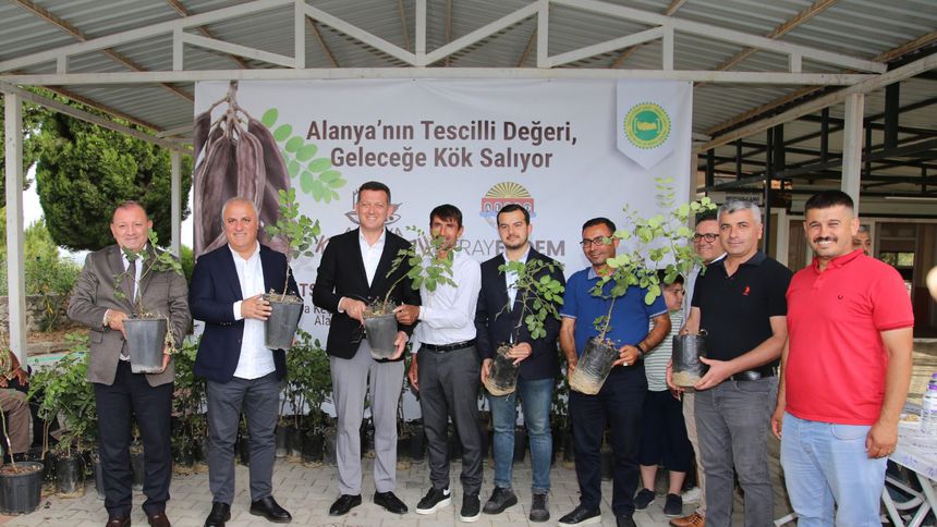 ALTSO keçiboynuzuna coğrafi işaret aldı, 3 bin fidan dağıttı