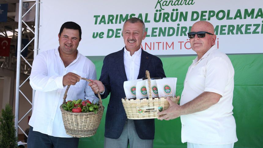 Kandıra’daki tesisin toplam fındık alımı 3 bin tona yaklaştı