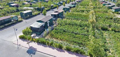 Hobi bahçeleri sorunu yasa çıkarmakla çözülmüyor