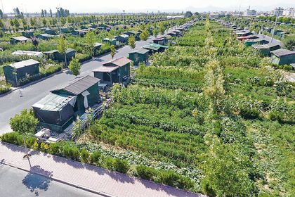 Hobi bahçeleri sorunu yasa çıkarmakla çözülmüyor