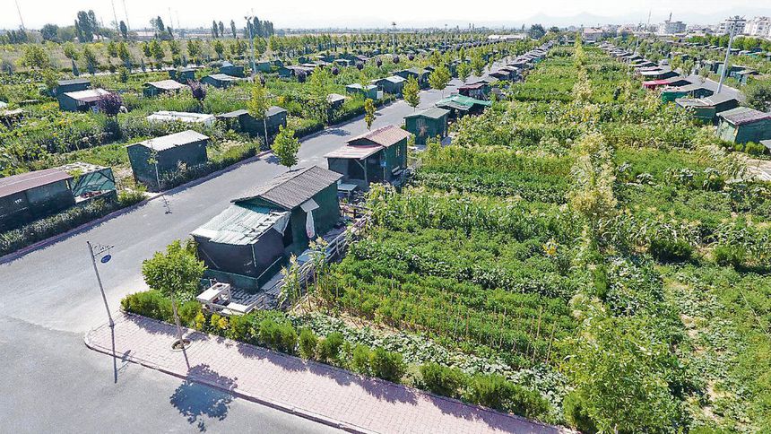 Hobi bahçeleri sorunu yasa çıkarmakla çözülmüyor Hobi bahçeleri sorunu yasa çıkarmakla çözülmüyor