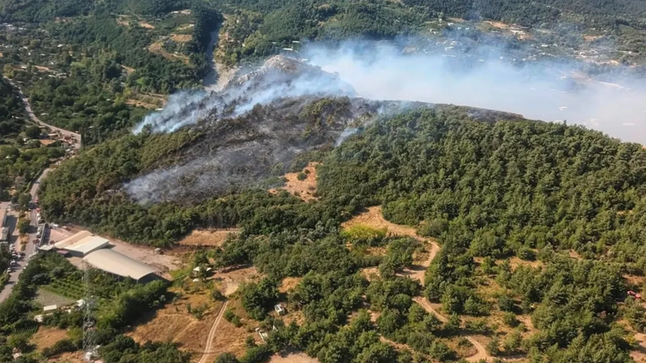 Bursa Uludağ’ın eteklerinde korkutan yangın!
