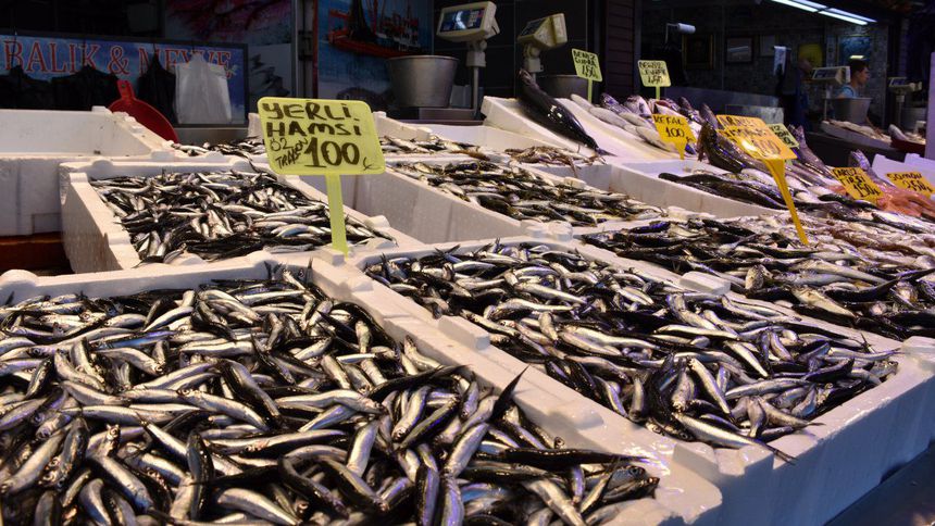 Hamsi 100, çipura 450 lira