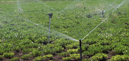 Tasarruflu tarımsal sulama yatırımlarına hibe desteği