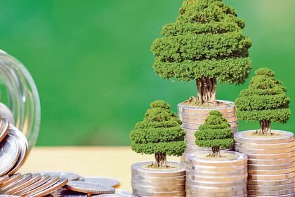 Pasifik’in COP31 talebi: Temiz enerji için finansman