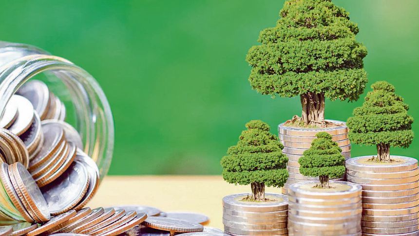 Pasifik’in COP31 talebi: Temiz enerji için finansman Pasifik’in COP31 talebi: Temiz enerji için finansman