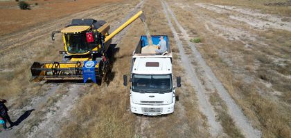 Talas Belediyesi’nin mobil koyun banyoluğundan 16 bin koyun geçti