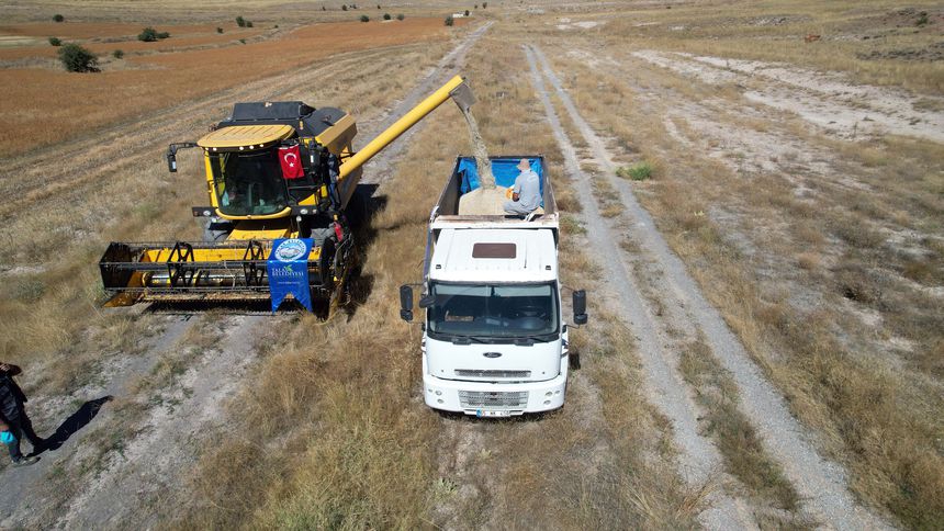 Talas Belediyesi’nin mobil koyun banyoluğundan 16 bin koyun geçti