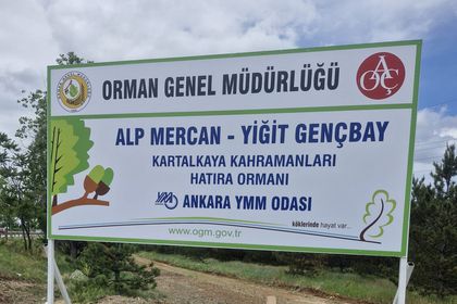 yilnak2
