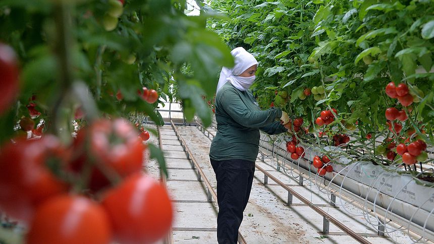 'Türkiye’nin jeotermal sera alanı 15 kat büyüyebilir'