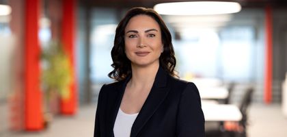 Logo Yazılım ve Visa'dan fintek alanında iş birliği