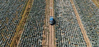 Kırsal kalkınma desteklerinde usul ve esaslar belirlendi