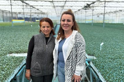 Kadınlar kooperatifle toprağa döndü, kırsalda katma değer yarattı