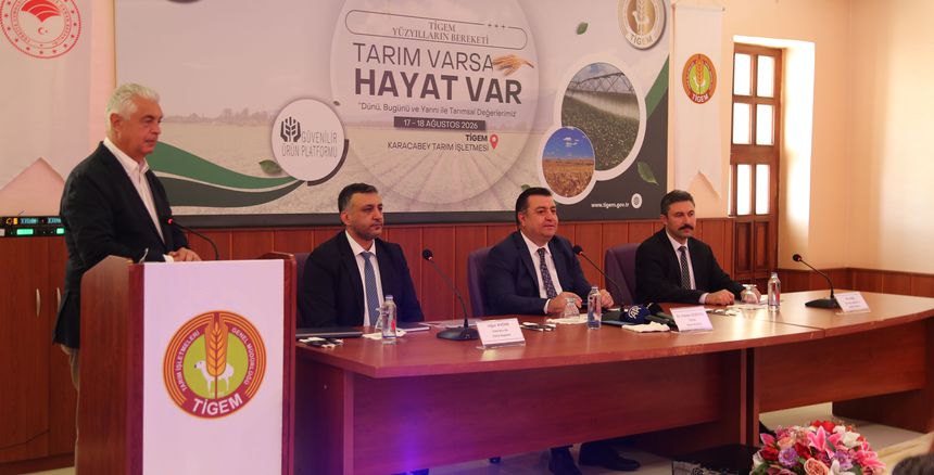 davut dogan1111