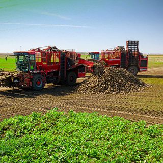 Kayseri Şeker'in 3. söküm avansı 172 milyon TL