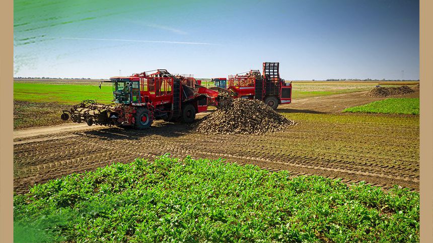 Kayseri Şeker'in 3. söküm avansı 172 milyon TL