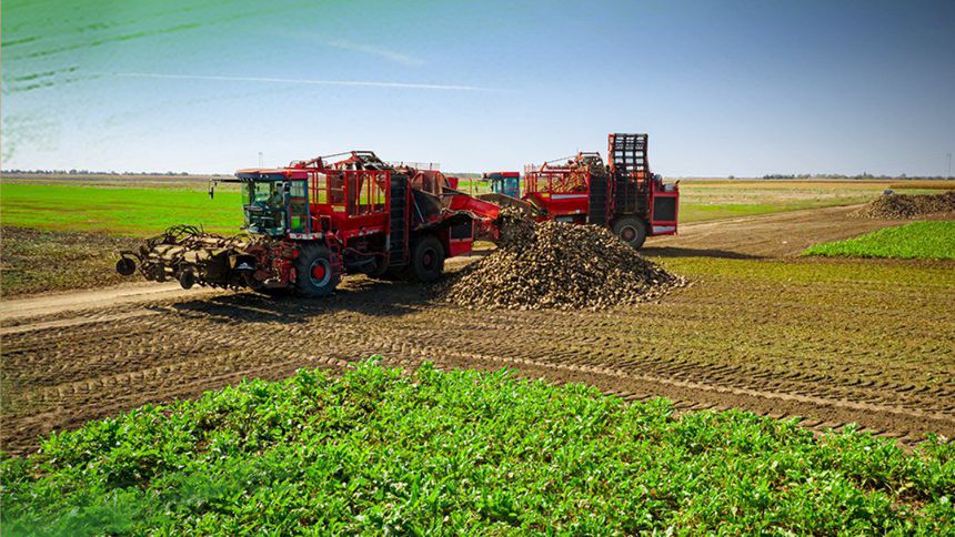 Kayseri Şeker'in 3. söküm avansı 172 milyon TL