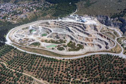 Kömür için zeytinlik yok etmek İklim Kanunu ile örtüşmüyor