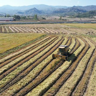 SGK borçlusuna tarım kredisi yok! SGK borçlusuna tarım kredisi yok!