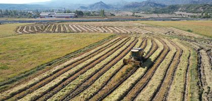 'FAO, Türkiye'ye 8,1 milyon dolarlık kaynak sağladı'
