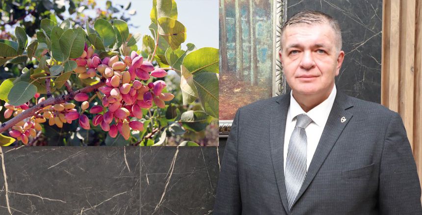 davut dogan1111