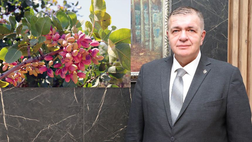 GTB Başkanı Akıncı’dan fıstık hasadında ürün güvenliği ve iş birliği çağrısı