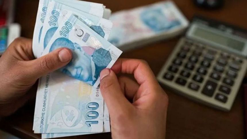 KOBİ ve girişimcilik projelerine 6,8 milyar liralık ödenek