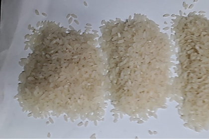 Çatalca’nın coğrafi işaretli Ormanlı pirincini duydunuz mu?