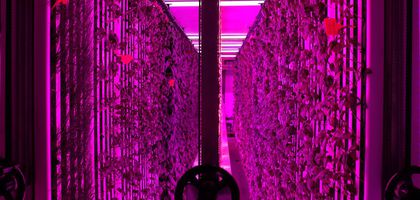 İGSAŞ ile Yeditepe Üniversitesi'nden dikey tarım için iş birliği